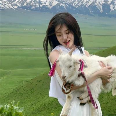 反社交网络：从网络梗到大灾祸